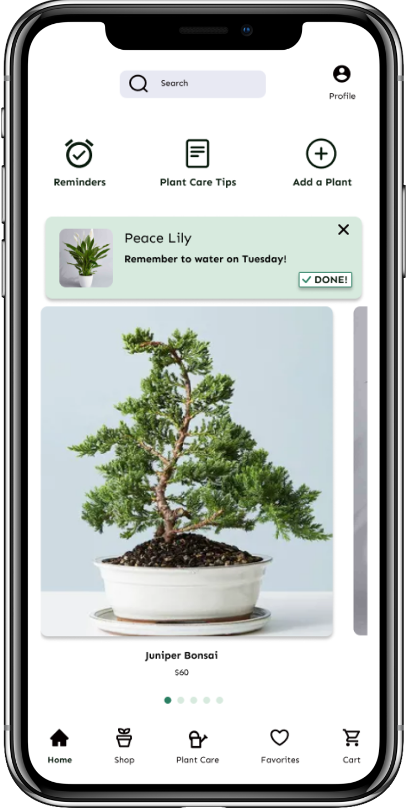 Mockup of Bloom e-commerce mobile app.